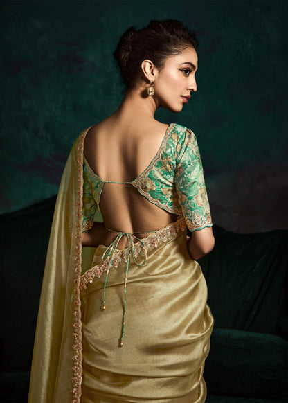 ladies saree