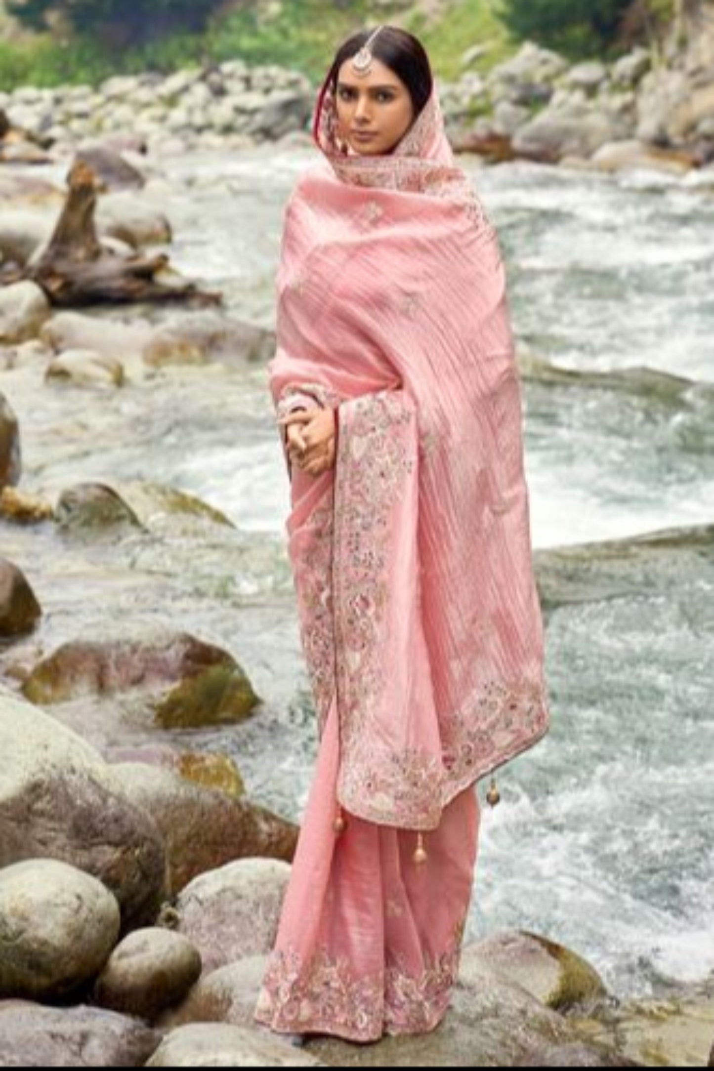 Pink Saree reflects softness and charm – perfect for graceful day functions. 