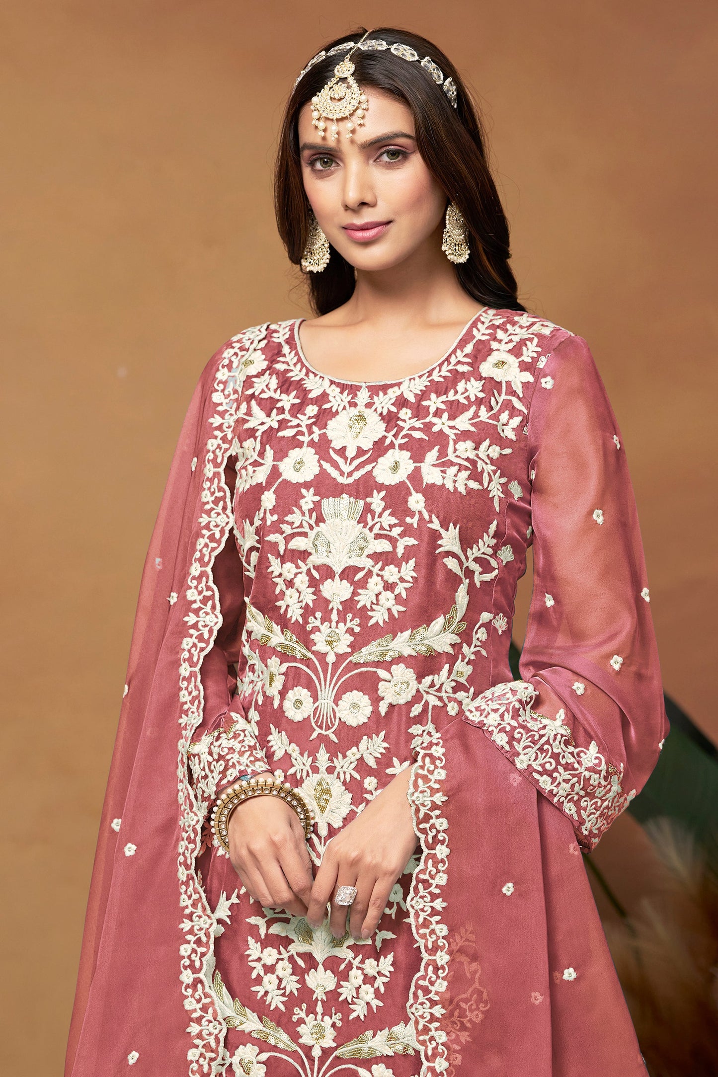 Premium Indian Organza Salwar Suit With Embroidered Detailing For Special Occasions