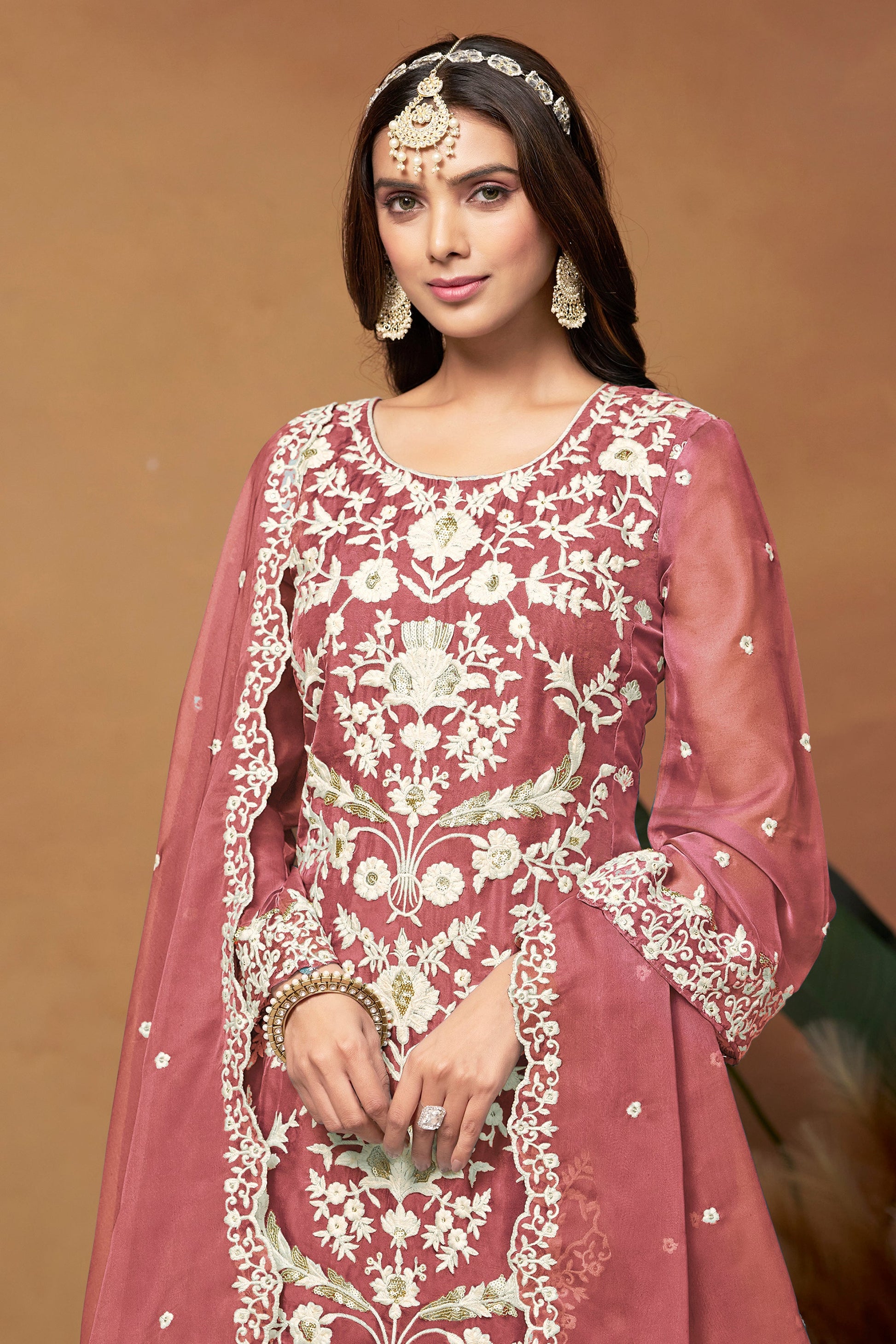 Premium Indian Organza Salwar Suit With Embroidered Detailing For Special Occasions