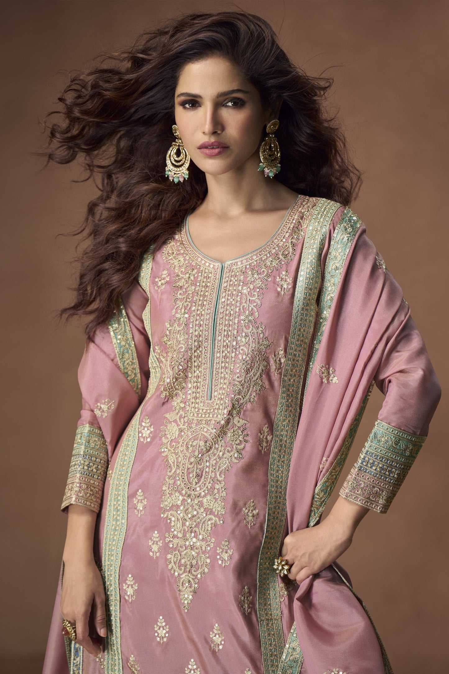 Indian Function Designer Heavy Embroidered Palazzo 