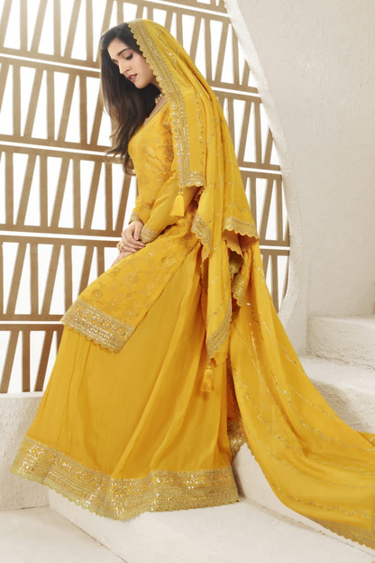 Indian Designer Ready to Wear Traditional Look Embroidered Palazzo Suit